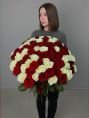 Букет из 101 Красной и Белой Розы Классика