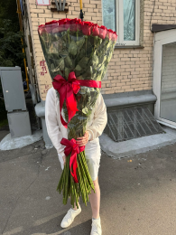 Букет из 51 розы 150 см