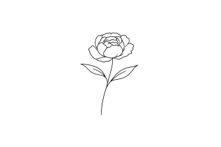 Пионы