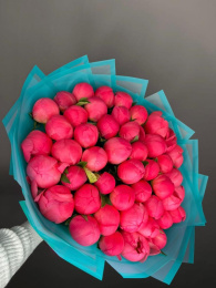 Букет из 35 Коралловых Пионов