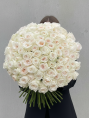 Букет из 101 Розы Вайт Охара (White O’Hara)