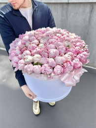 Розовые Пионы В Коробке 101