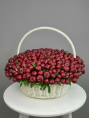 Корзина из 101 Бордового Пиона