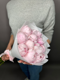 Букет из 11 Розовых Пионов
