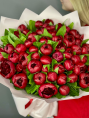 Букет из 51 Бордового Пиона