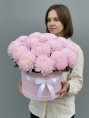 Розовые хризантемы Магнум в шляпной коробке 15