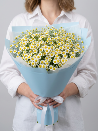 Букет из 15 кустовых ромашек