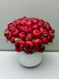 Бордовые Пионы В Коробке 35