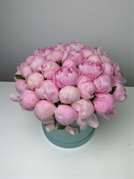 Розовые Пионы В Коробке 35
