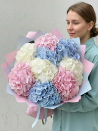 Букет из 9 гортензий Голландия (микс розовых, белых и голубых)