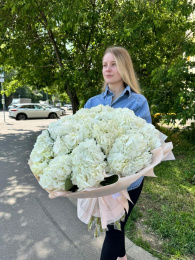 Букет из 25 белых Гортензий Голландия