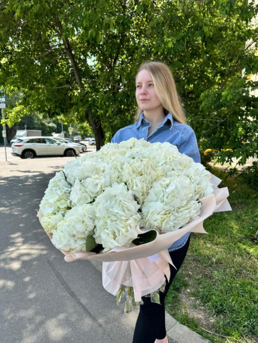 Букет из 25 белых Гортензий Голландия