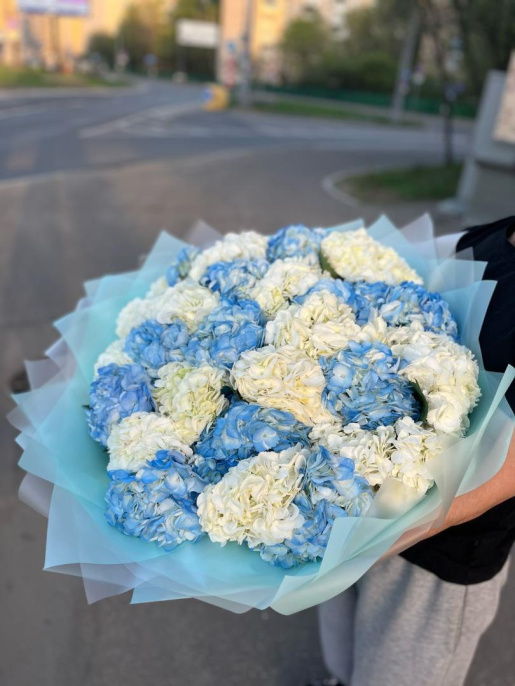 Букет из 25 белых и голубых Гортензий Кения