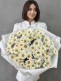 Букет из 101 одноголовой ромашки
