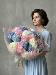 Букет из 25 гортензий Кения (микс розовых, голубых и белых)