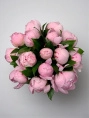 Розовые Пионы В Коробке 15