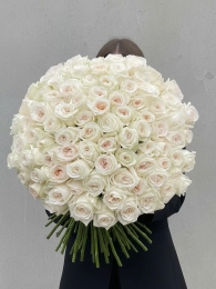Букет из 101 Розы Вайт Охара (White O’Hara)