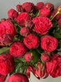 Композиция из 25 Пионовидных Роз Ред Пиано в Коробке (Red Piano)