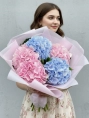 Букет из 5 гортензий Голландия (розовые и голубые)