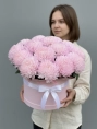Розовые хризантемы Магнум в шляпной коробке 15