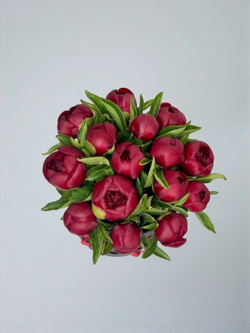 Бордовые Пионы В Коробке 15