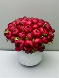 Бордовые Пионы В Коробке 35