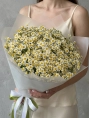 Букет из 25 кустовых ромашек