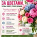 Как ухаживать за цветами? Инструкция по уходу